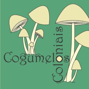 Cogumelos Coloniais