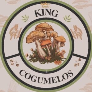 King Cogumelos