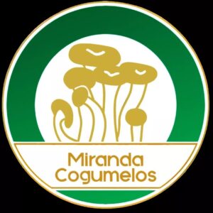 Miranda Cogumelos